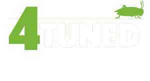 4 Tuned Crickets Rock Band